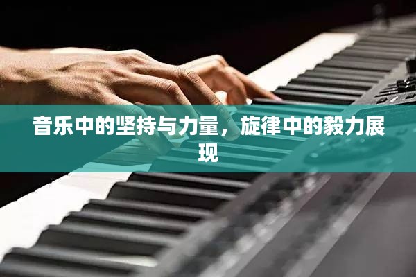 音乐中的坚持与力量,旋律中的毅力展现