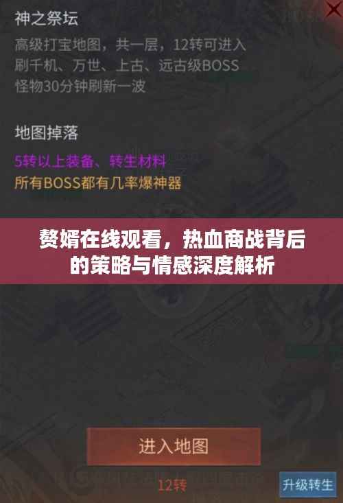 赘婿在线观看,热血商战背后的策略与情感深度解析