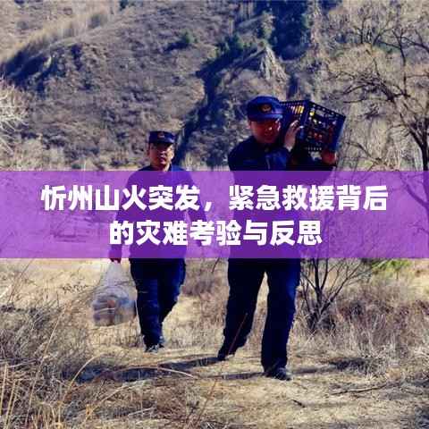 忻州山火突发,紧急救援背后的灾难考验与反思
