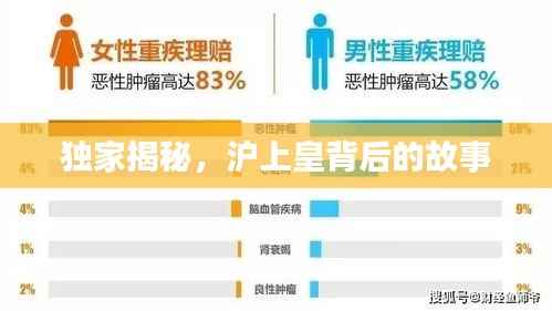 独家揭秘,沪上皇背后的故事