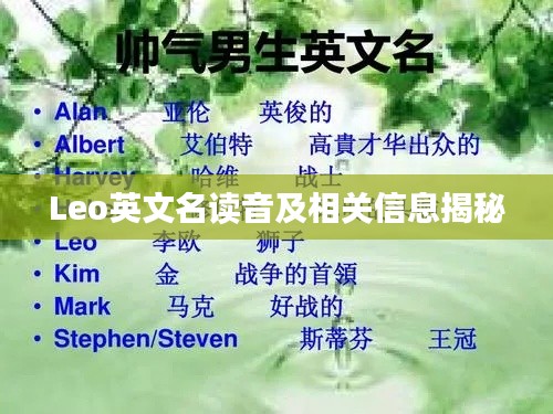 Leo英文名读音及相关信息揭秘