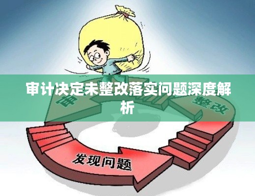 审计决定未整改落实问题深度解析