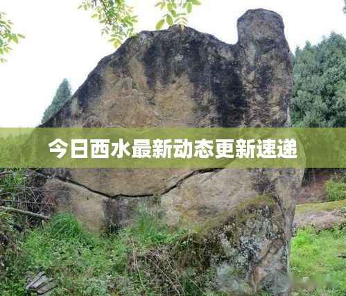 今日西水最新动态更新速递