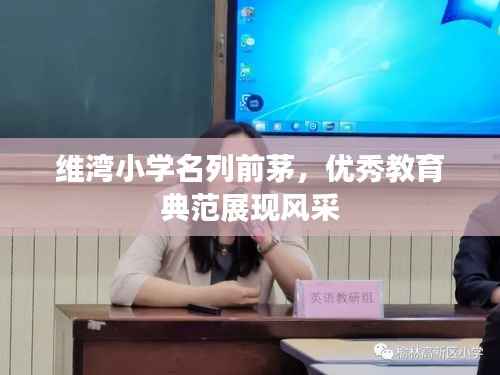 维湾小学名列前茅,优秀教育典范展现风采