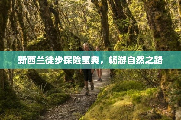 新西兰徒步探险宝典,畅游自然之路