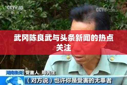 武冈陈良武与头条新闻的热点关注