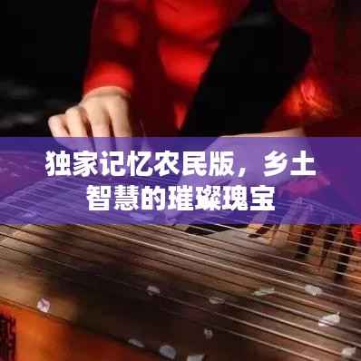 独家记忆农民版,乡土智慧的璀璨瑰宝