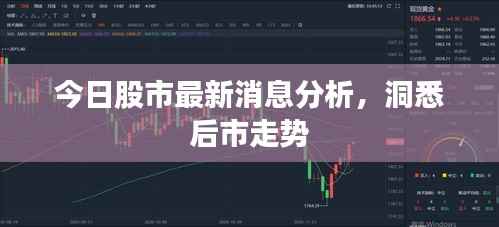 今日股市最新消息分析,洞悉后市走势