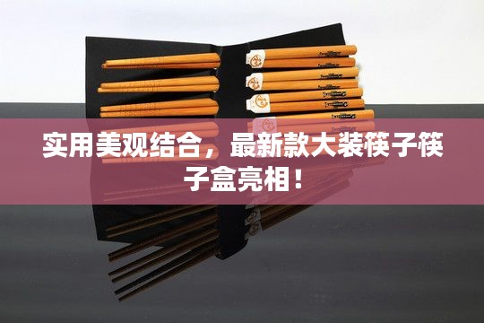 实用美观结合，最新款大装筷子筷子盒亮相！