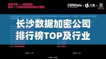 长沙数据加密公司排行榜TOP及行业深度洞察