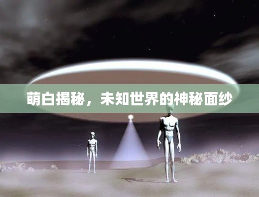 萌白揭秘,未知世界的神秘面纱